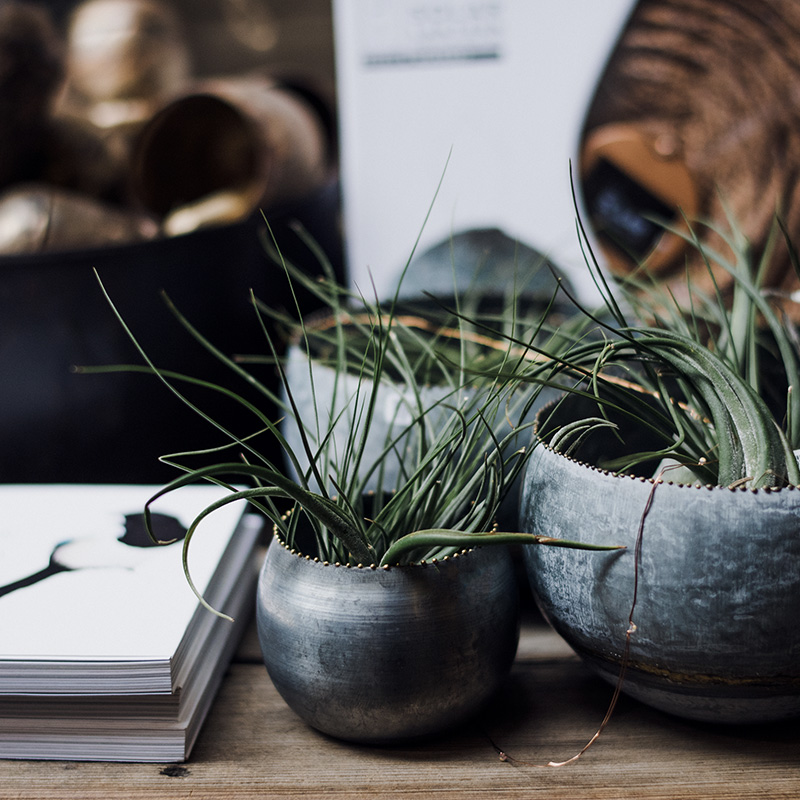 feel my brand agencia marketing