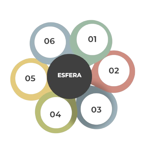 feel my brand agencia